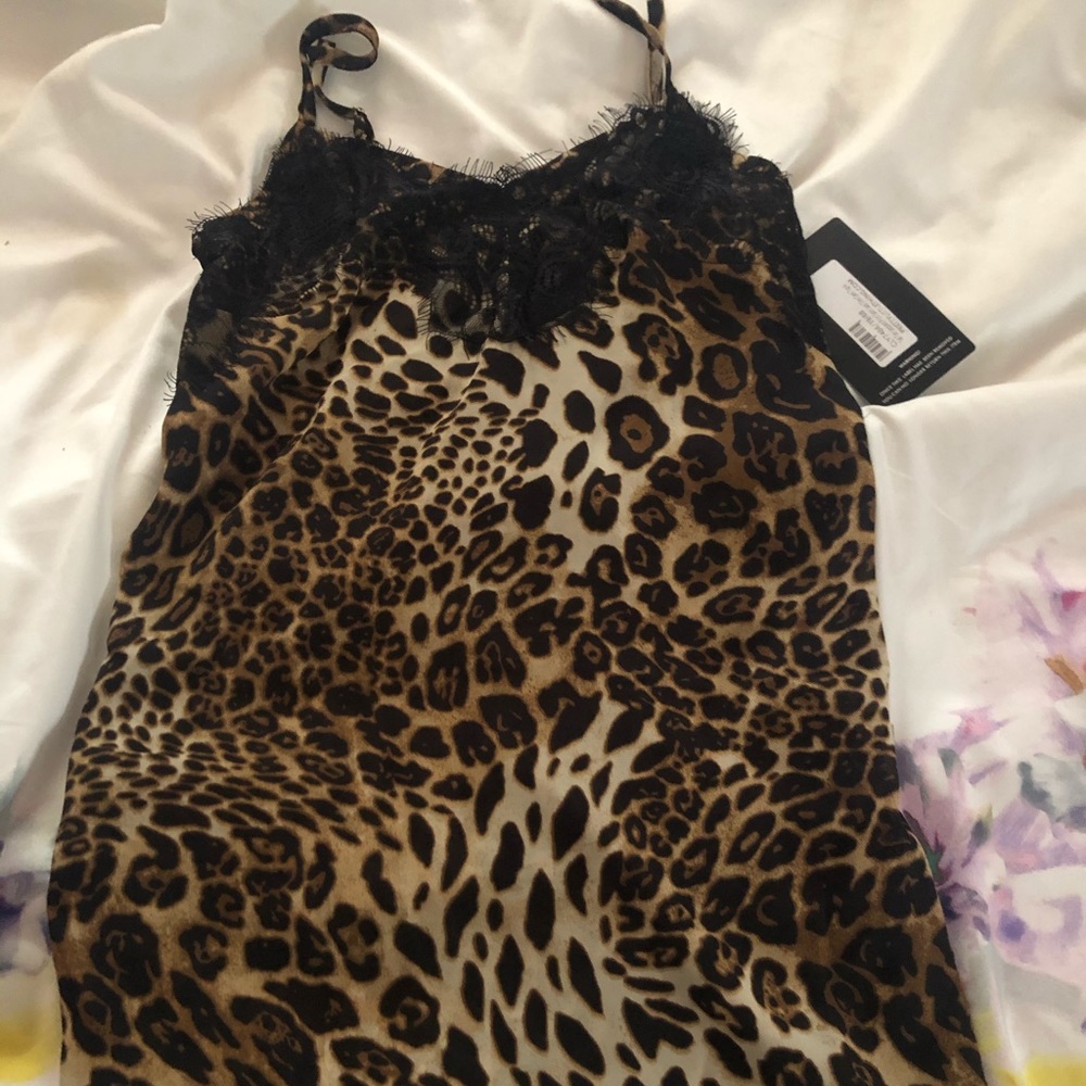 Cheetah tank